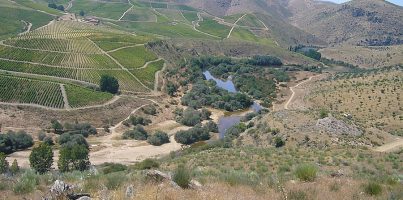 Yacimiento de rocas grabadas de Penascosa