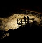 Cueva de El Pendo