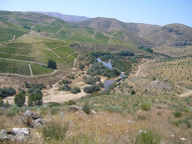 Yacimiento de rocas grabadas de Penascosa