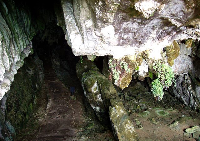 Cueva de El Pindal