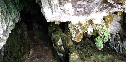 Cueva de El Pindal