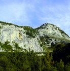 Cueva de Covalanas